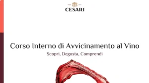 Corso Interno di Avvicinamento al Vino